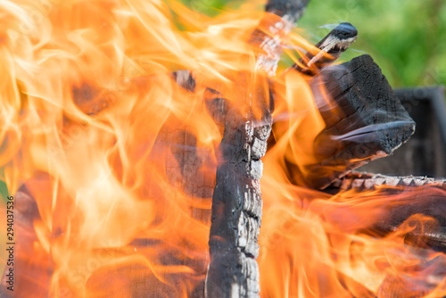 Close up shot of burning. Blurred background. Cooking coals for cooking barbecue on grill. Beautiful bonfire of burning oak. Firewood burns orange flame. Red flame over hot coals