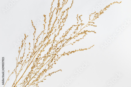 Dry grass golden colored on light background for wedding cards, valentines day or screensaver. Minimal nature concept.