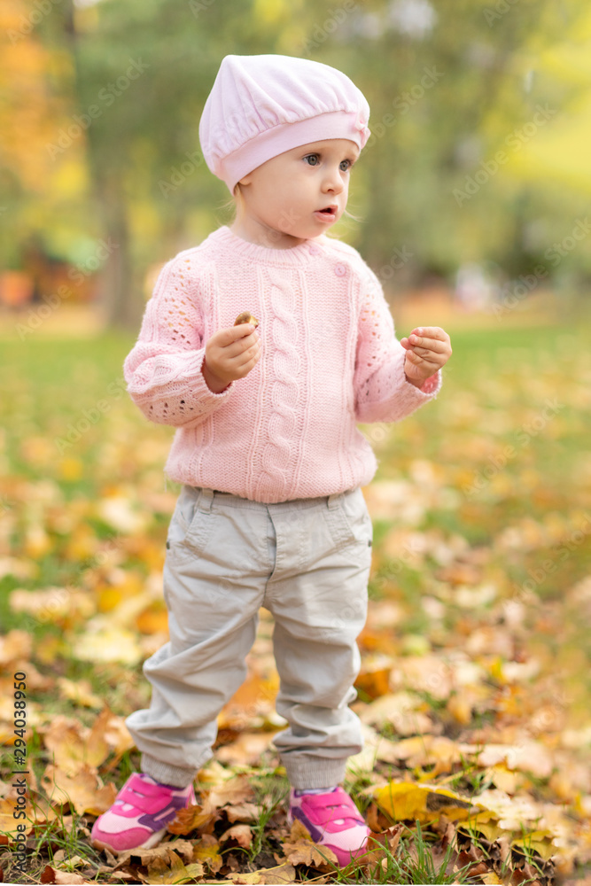 Happy kid in autumn park  plays   with leaves