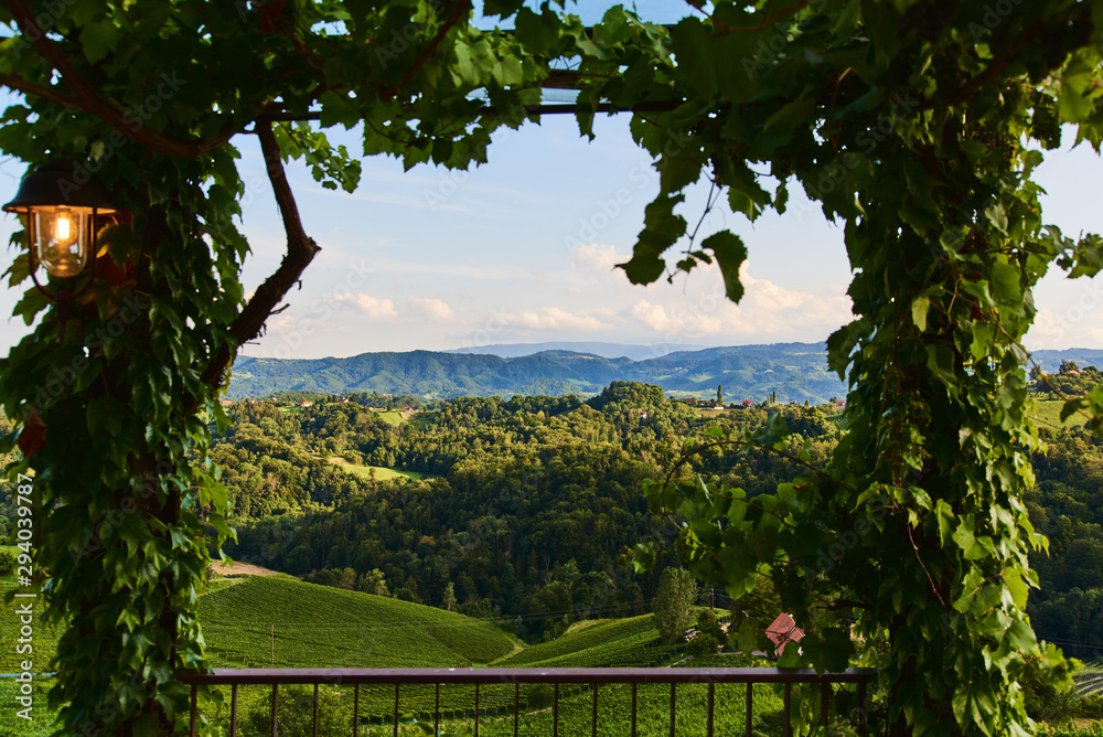 Fototapeta premium View from famous wine street in south styria, Austria on tuscany like vineyard hills. Tourist destination
