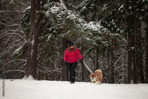 Fototapeta Naklejka Na Ścianę i Meble -  Portrait with a cute fluffy puppy. Winter walk with a dog.