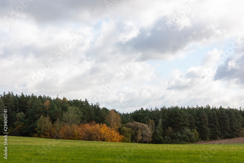 Autumn landscape with a green field and forest in in yellow and green leaves  and a blue sky with gray clouds.