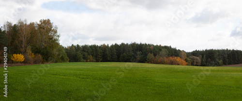 Fototapeta Naklejka Na Ścianę i Meble -  Panorama of an autumn landscape with a green field and forest in in yellow and green leaves, and a blue sky with gray clouds.