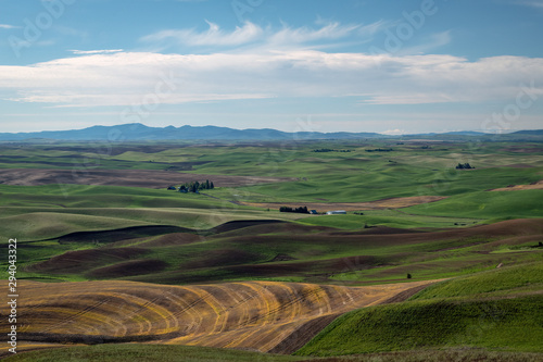 Farms dot the rolling hills of farmland in the Palouse region of Washington state. Some fields are planted with young plants growing green, some are fallow adding to interesting landscape.