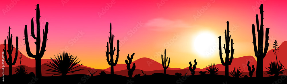 Evening in the cactus valley. Sunset in the Mexican desert. Silhouettes of stones, cacti and plants. Desert landscape with cacti. The stony desert