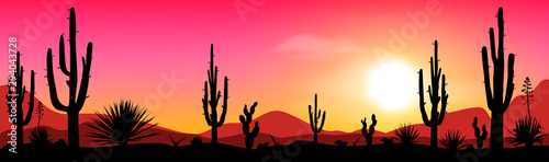 Evening in the cactus valley. Sunset in the Mexican desert. Silhouettes of stones, cacti and plants. Desert landscape with cacti. The stony desert