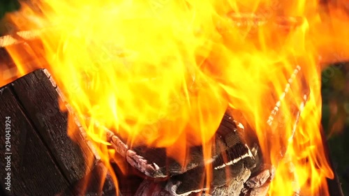 Fire. Burning bonfire made of firewood, close-up. Slow motion.