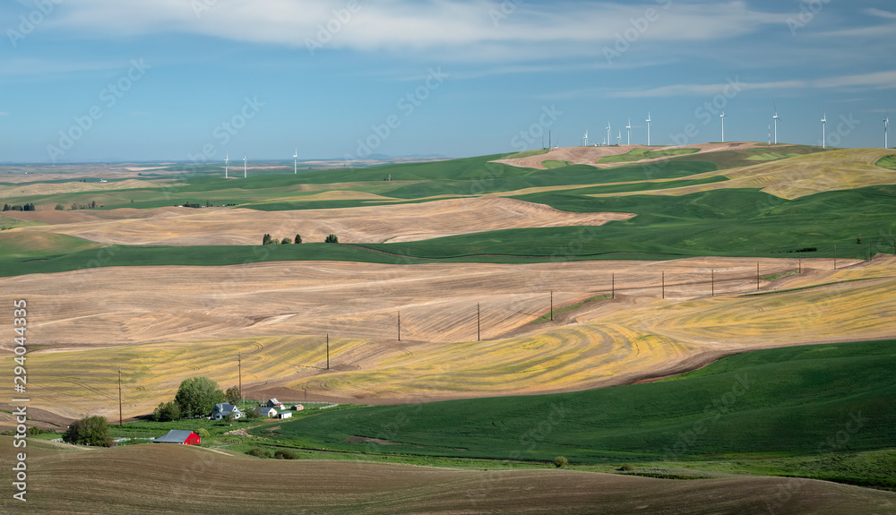 Farms dot the rolling hills of farmland in the Palouse region of Washington state.  Some fields are planted with young plants growing green, some are fallow adding to interesting landscape.