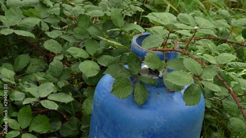 Overgrown garden with old gas bottle being consumed by grass and brambles
