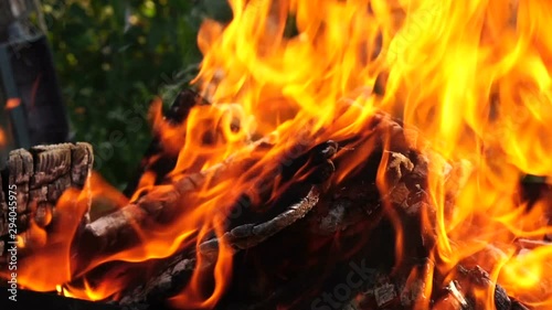 Fire. Burning bonfire made of firewood, close-up. Slow motion.
