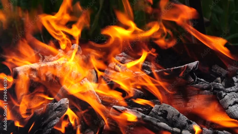 Fire. Burning bonfire made of firewood, close-up. Slow motion. Fire. Burning bonfire made of firewood, close-up. Slow motion.