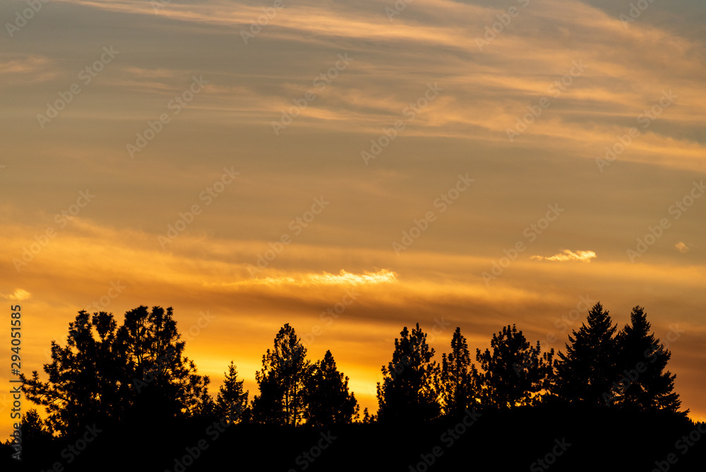 Sunset with cloudy sky, silhouette of trees, cirrus clouds, blues and oranges, nature background Sunset with cloudy sky, silhouette of trees, cirrus clouds, blues and oranges, nature background