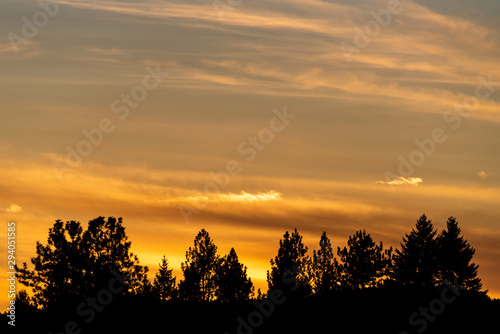 Sunset with cloudy sky, silhouette of trees, cirrus clouds, blues and oranges, nature background