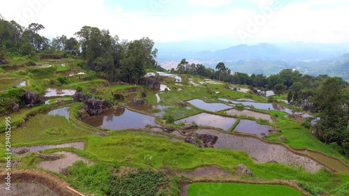 Terraced rice fields in Tana Toraja, South Sulawesi, Indonesia	