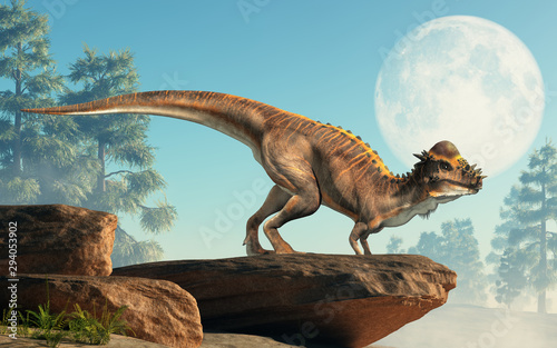 A brown Pachycephalosaurus on a cliff by the moon. Pachycephalosaurus known for it's thick skull, was an dinosaur of the Cretaceous in North America. 3D Rendering