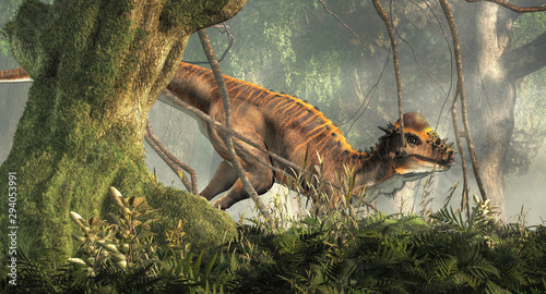 A brown Pachycephalosaurus in a dense forest. Pachycephalosaurus known for it s thick skull  was an dinosaur of the Cretaceous in North America. 3D Rendering