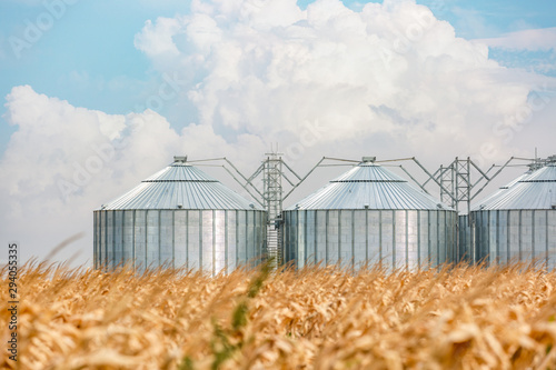 Silos in a corn field on a beautiful day photo