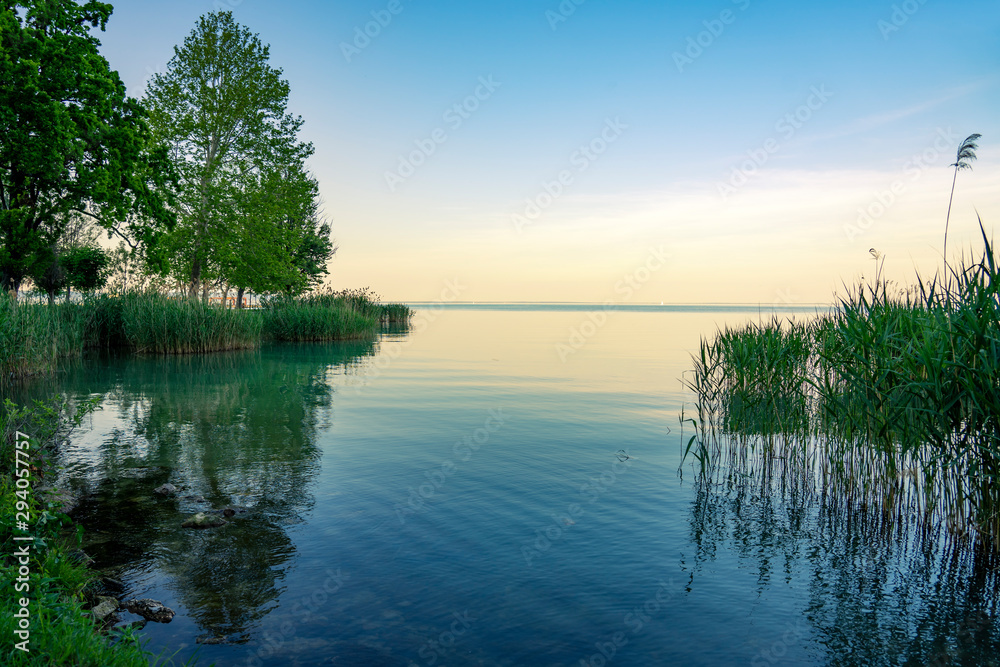 Nature and reed reflection on the Lake Balaton in Hungary at sunset