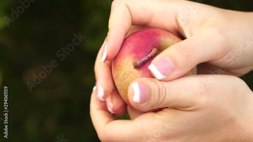  Apple in female hands, close up. Female hands wipe a ripped ripe apple, slow motion shot.