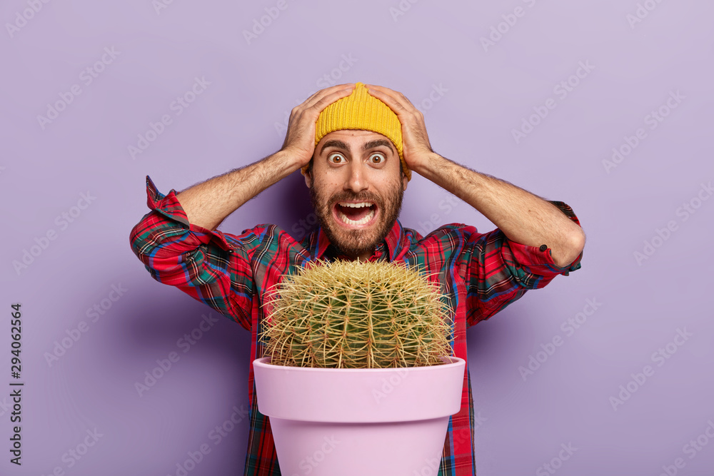 Photo of embarrassed stupefied Caucasian man keeps hands on head, stares with shock, dressed in checkered shirt and yellow hat, stands behind pot of big cactus, isolated over purple background Photo of embarrassed stupefied Caucasian man keeps hands on head, stares with shock, dressed in checkered shirt and yellow hat, stands behind pot of big cactus, isolated over purple background