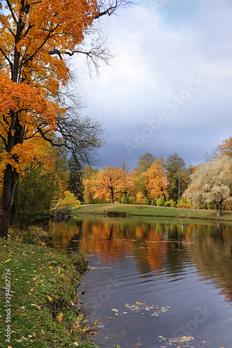 October autumn park in Russia  lake with red leaves and reflection in the lake  Alexander Park  Tsarskoye Selo  Leningrad Region. Beautiful autumn landscape in the park 