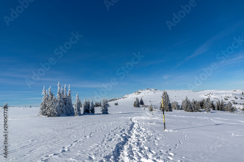 Winter view of Vitosha Mountain, Bulgaria © Stoyan Haytov