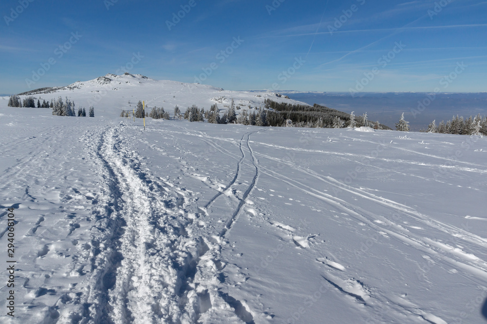 Winter view of Vitosha Mountain, Bulgaria