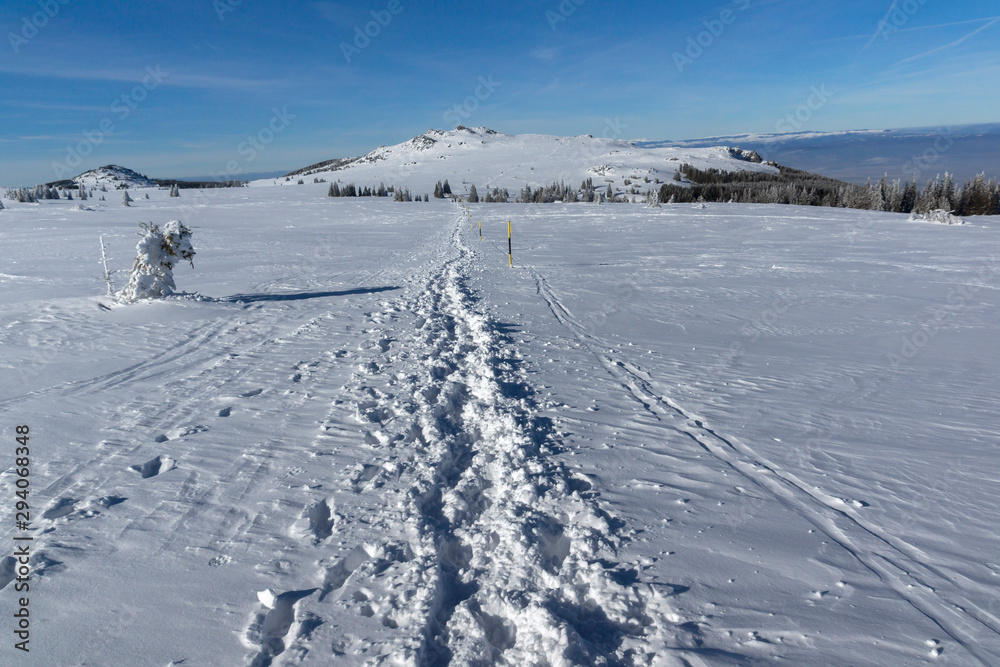 Winter view of Vitosha Mountain, Bulgaria