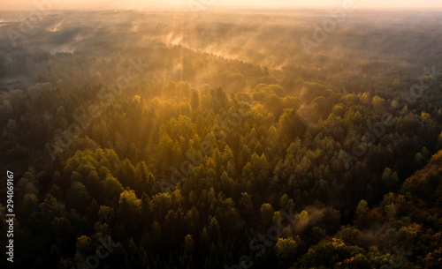 Die Herbstsonne erleuchtet die Südheide bei Wildeck / first morning sun rays enlightening a forest in lower saxony  © Stefan