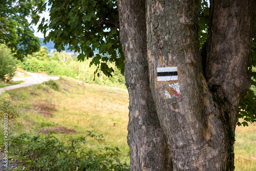 Wallpaper Mural Black hiking trail mark on a tree Torontodigital.ca