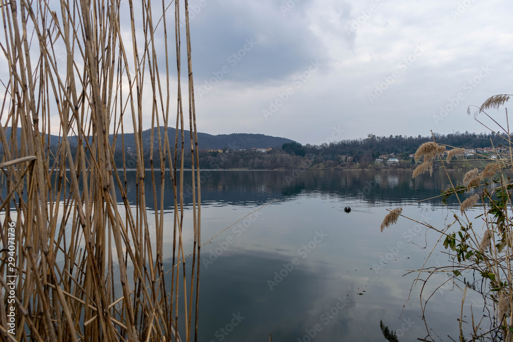 Sunset on the shores of a lake with reeds in the foreground