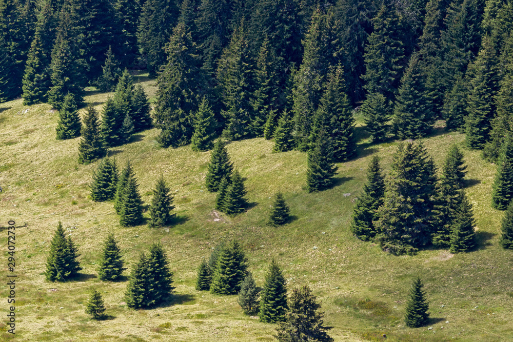 Obraz premium Landscape of Rhodope Mountains from Snezhanka tower, Bulgaria