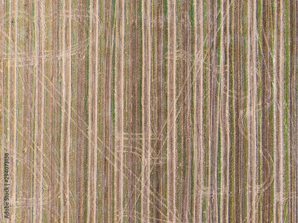 aerial view cultivated field from the drone