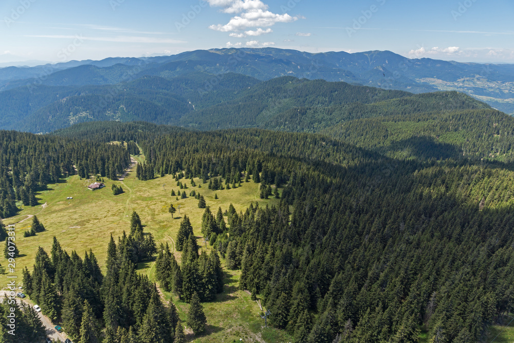 Landscape of Rhodope Mountains from Snezhanka tower, Bulgaria