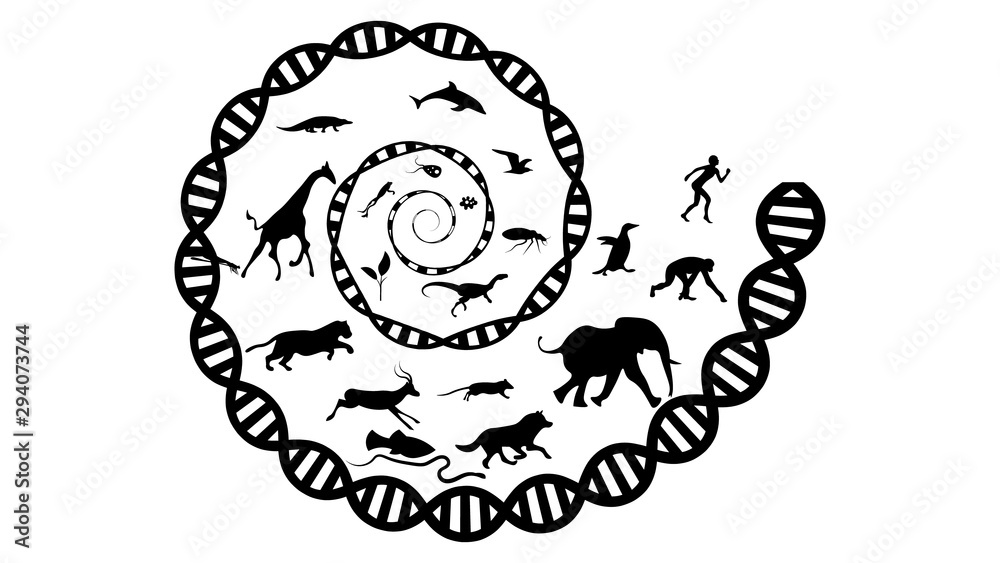 Evolution of species illustration. Evolution vector design Evolution of species illustration. Evolution vector design