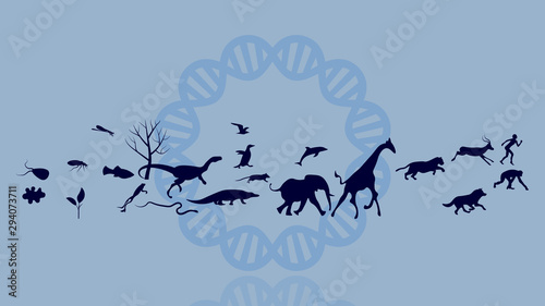 Evolution of species illustration. Evolution vector design