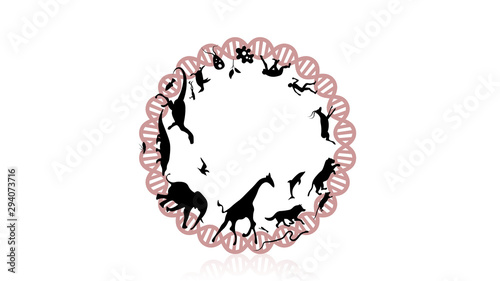 Evolution of species illustration. Evolution vector design