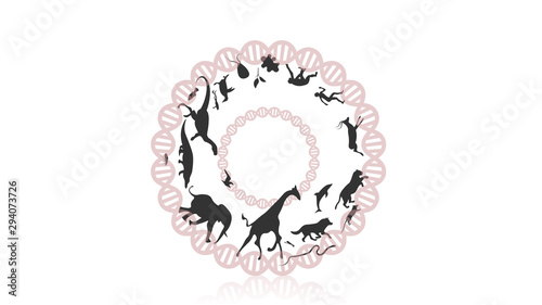Evolution of species illustration. Evolution vector design
