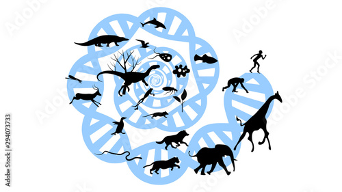 Evolution of species illustration. Evolution vector design