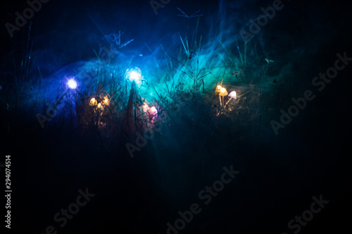 Fantasy glowing mushrooms in mystery dark forest close-up. Beautiful macro shot of magic mushroom or three souls lost in avatar forest. Fairy lights on background with fog