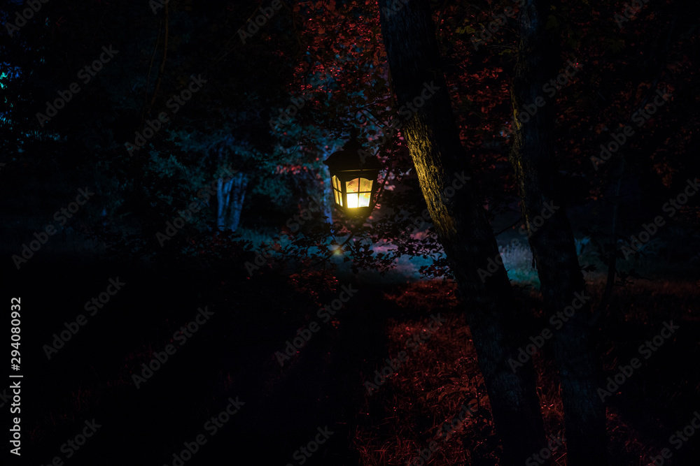 Horror Halloween concept. Burning old oil lamp in forest at night. Night scenery of a nightmare scene. Horror Halloween concept. Burning old oil lamp in forest at night. Night scenery of a nightmare scene.