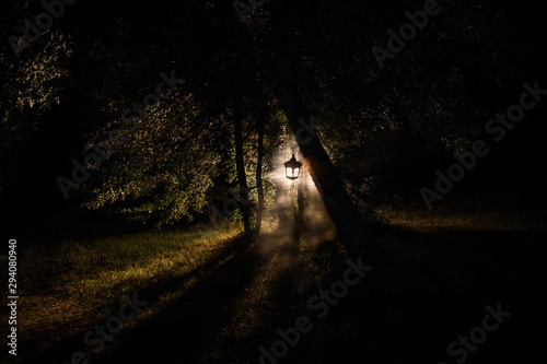 Horror Halloween concept. Burning old oil lamp in forest at night. Night scenery of a nightmare scene. © zef art