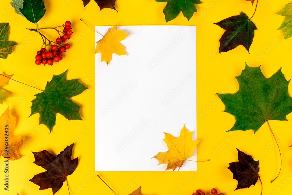 Flat lay autumn fallen leaves on a yellow background with white blank space for text. Top view autumn concept. fall background. Flat lay autumn fallen leaves on a yellow background with white blank space for text. Top view autumn concept. fall background.