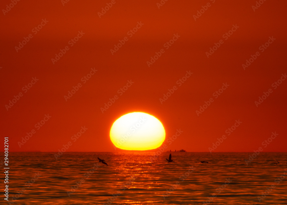 Sunset at ocean seascape, bigsun, birds
