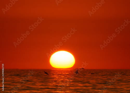 Fototapeta Naklejka Na Ścianę i Meble -  Sunset at ocean seascape, bigsun, birds