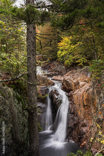 waterfall in forest