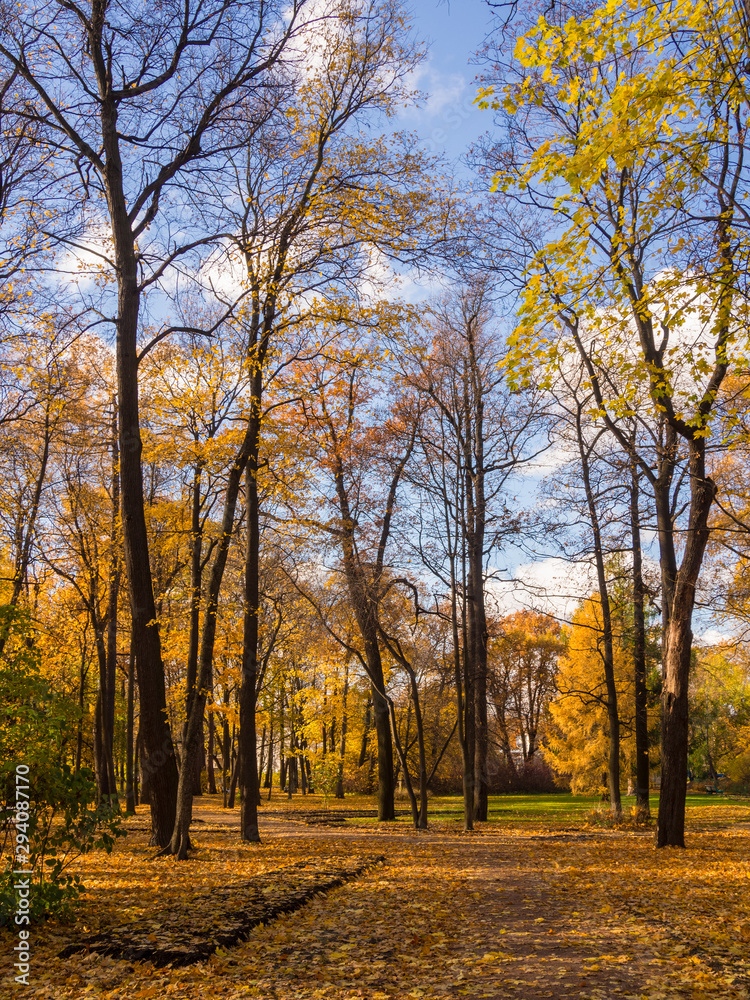 sunny autumn day