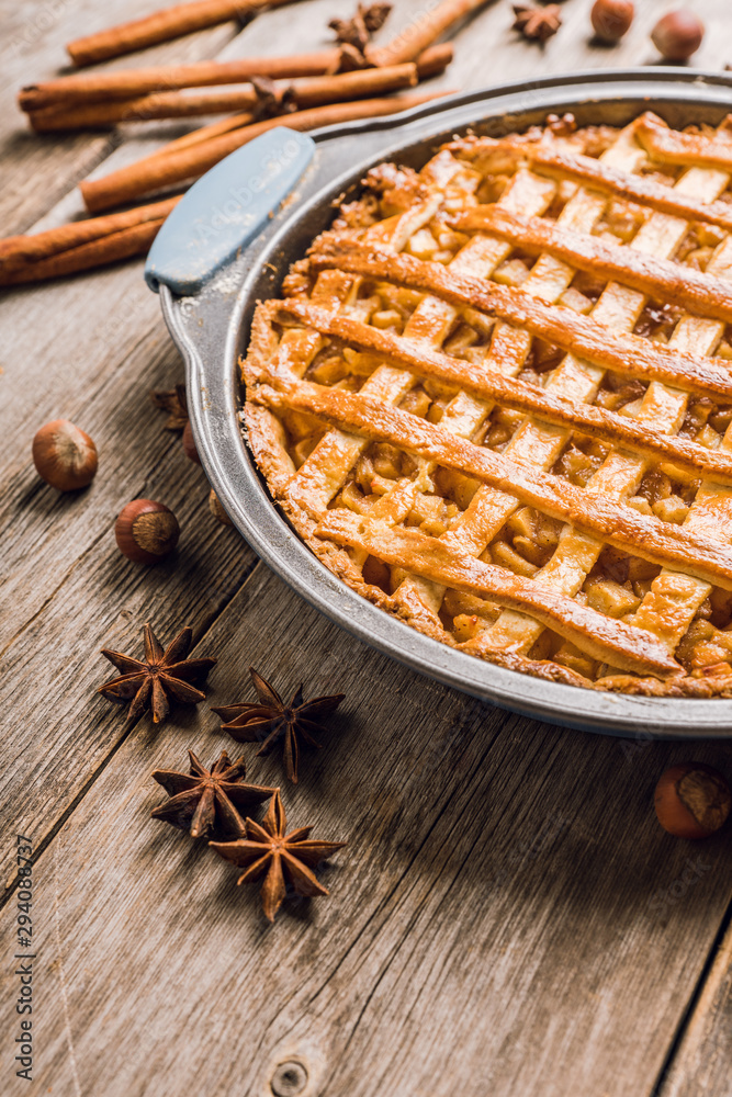 Freshly baked autumn apple pie with cinnamon. Selecive focus. Shallow depth of field. Freshly baked autumn apple pie with cinnamon. Selecive focus. Shallow depth of field.