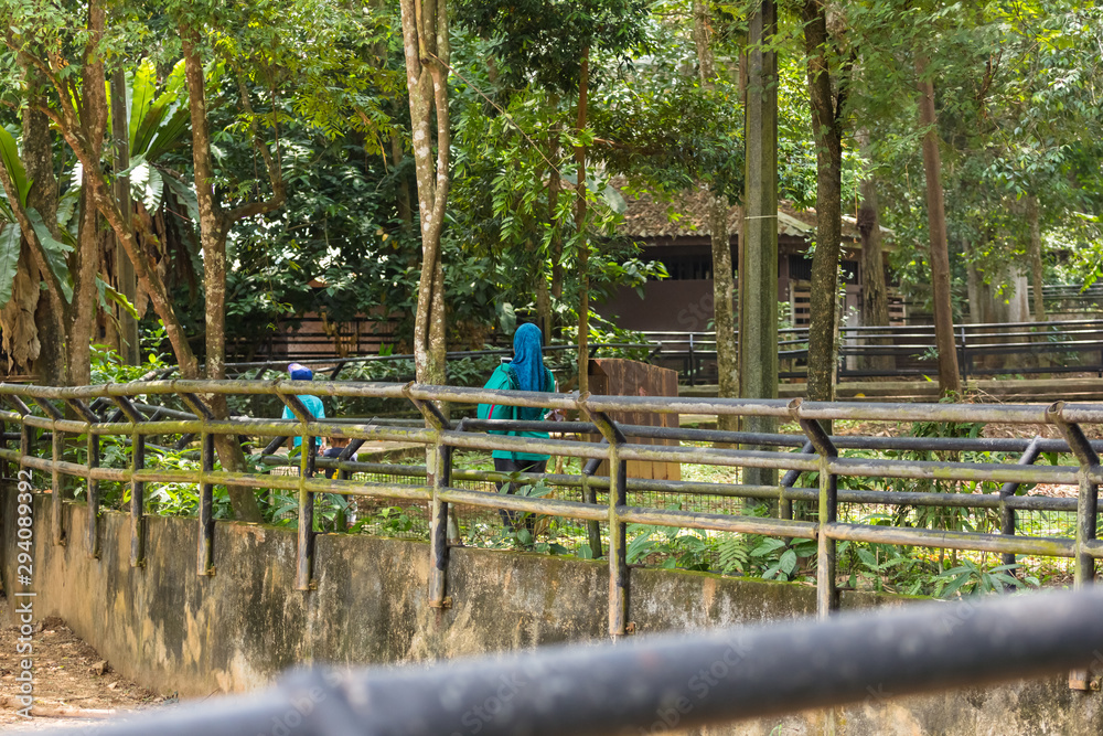 Fototapeta premium tourists and locals at the Zoo malacca, malaysia