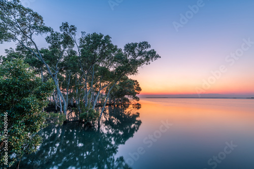 The sun rising over still waters in a mangrove forest during the morning on a clear day in Wynnum, Queensland, Australia. © Hal Photography